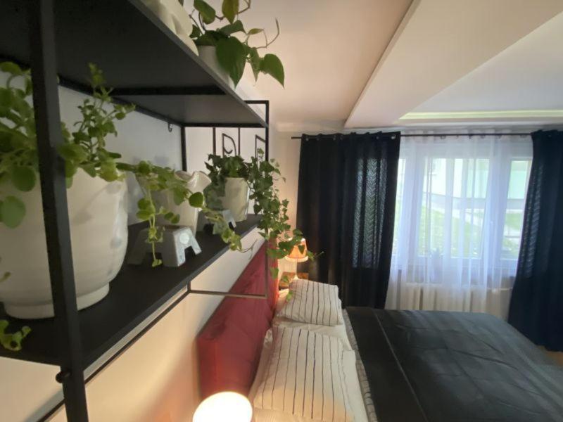Apartament ,, Sen I Kawa" - Komfortowy Nocleg W Sercu Aglomeracji 比托姆 外观 照片